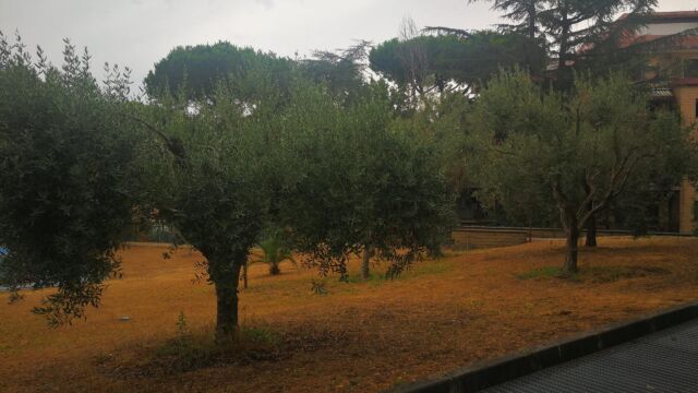 Curia Generalizia dei Vocazionisti, Viale Cortina d'Ampezzo, 140 - Roma