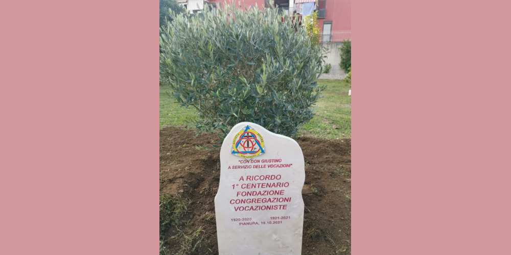 Albero di ulivo a ricordo del primo centenario, piantato presso la Casamadre delle Suore Vocazioniste
